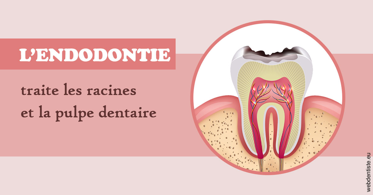 https://www.cabinetaubepines.lu/L'endodontie 2