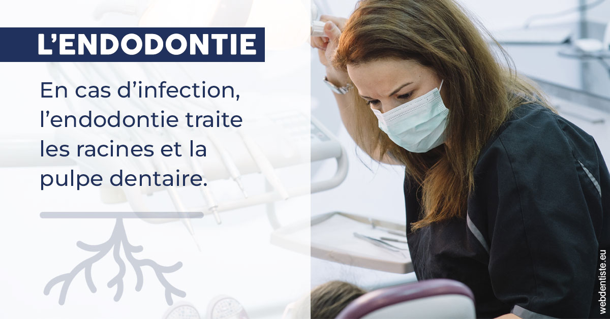 https://www.cabinetaubepines.lu/L'endodontie 1