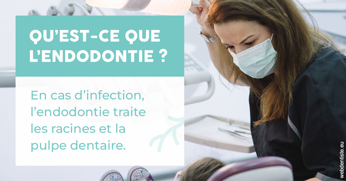 https://www.cabinetaubepines.lu/2024 T1 - Endodontie 01