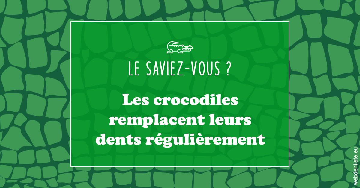 https://www.cabinetaubepines.lu/Crocodiles 1